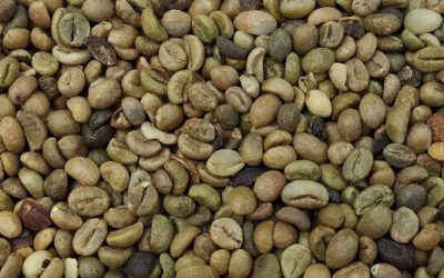 Robusta Coffee Grade 2 Scr 13-5%